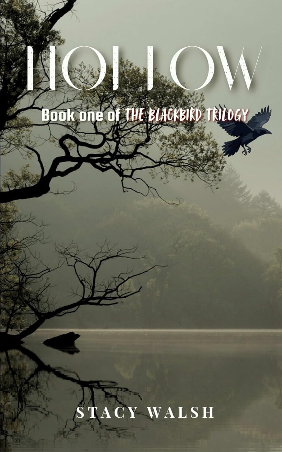 Book cover of 'Hollow' by Stacy Walsh featuring a bird over a misty lake and trees.