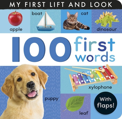 100 First Words: My First Lift and Look (with Flaps) by Cox, Hettie