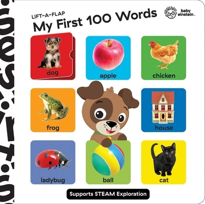 Baby Einstein: My First 100 Words Lift-A-Flap by Pi Kids