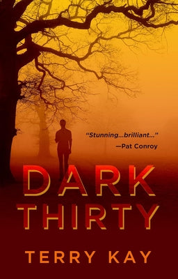 Dark Thirty by Kay, Terry