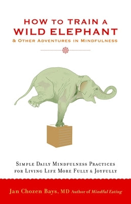 How to Train a Wild Elephant: And Other Adventures in Mindfulness by Bays, Jan Chozen