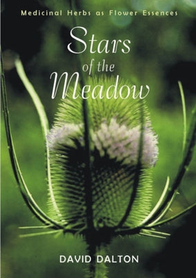 Stars of the Meadow: Medicinal Herbs as Flower Essences by Dalton, David