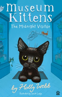 The Midnight Visitor by Webb, Holly