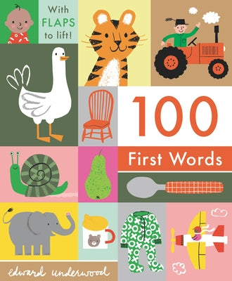 100 First Words: With Flaps to Lift by Underwood, Edward