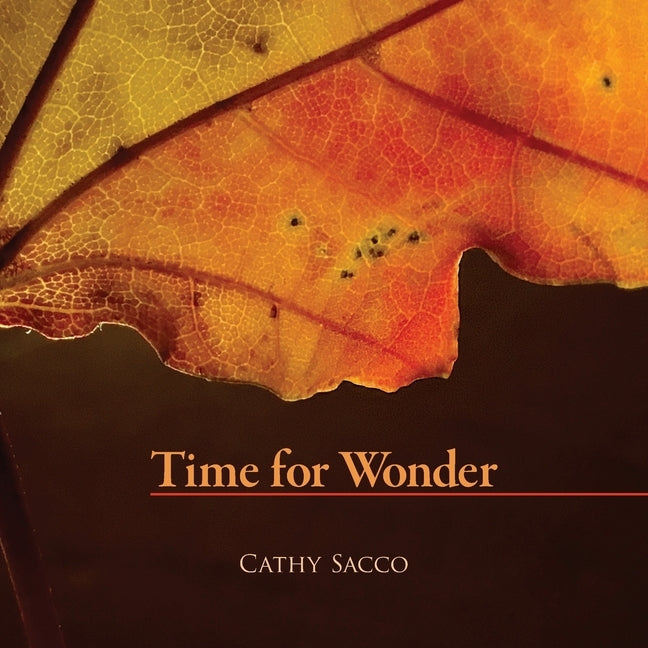 Time for Wonder by Sacco, Cathy